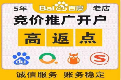 案例分析：百度竞价托管助力行业龙头